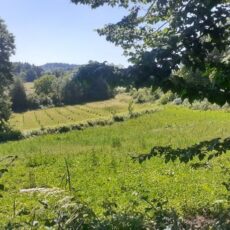 Rénovation d'une petite ferme Agro-éco-logique