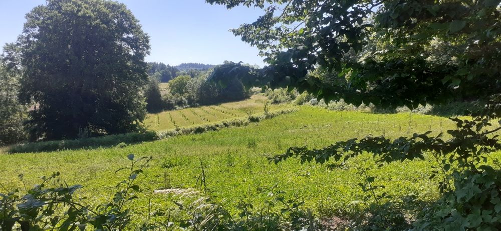 Rénovation d'une petite ferme Agro-éco-logique